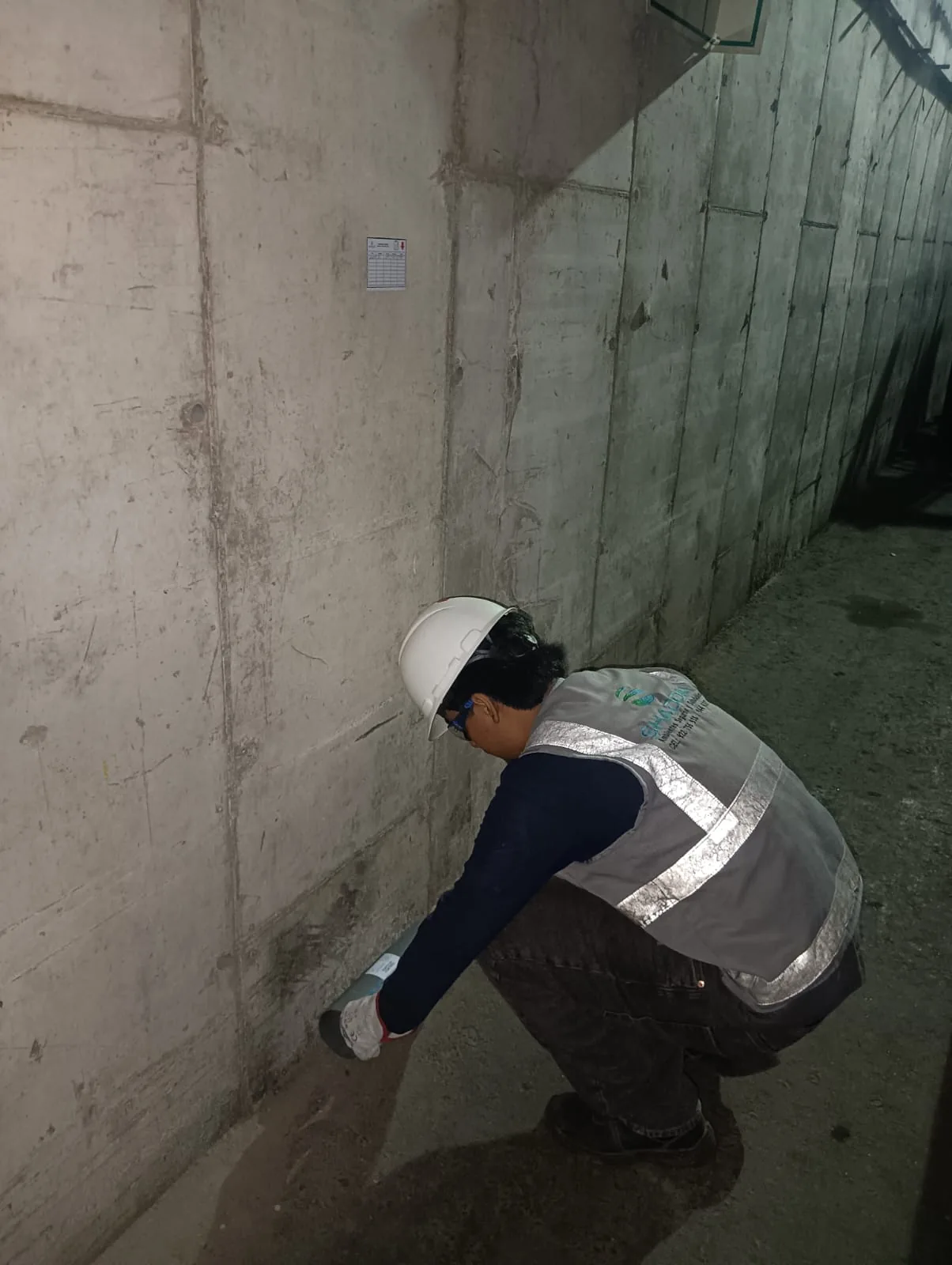 Manejo integrado de plagas (MIP): qué es y cómo funciona